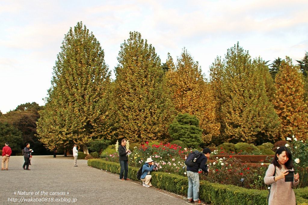 e0052135_17501900.jpg