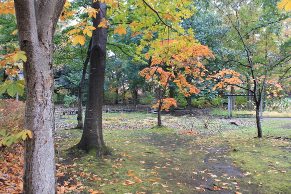 c0332238_11285379.jpg