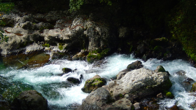 b0289941_16401719.jpg