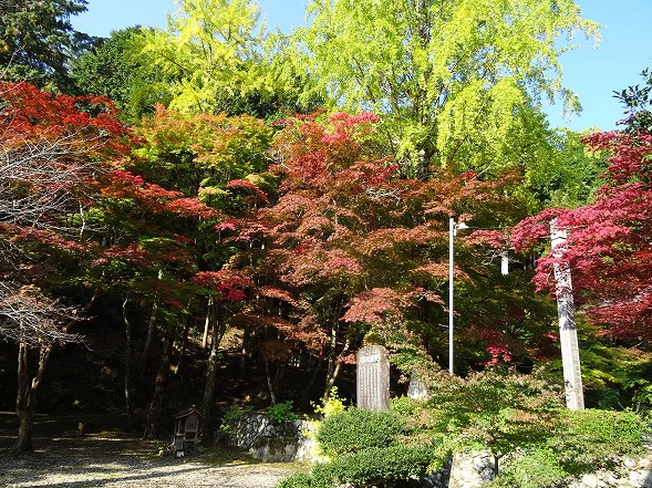 丹波篠山の洞光寺の紅葉 彩の気まぐれ写真