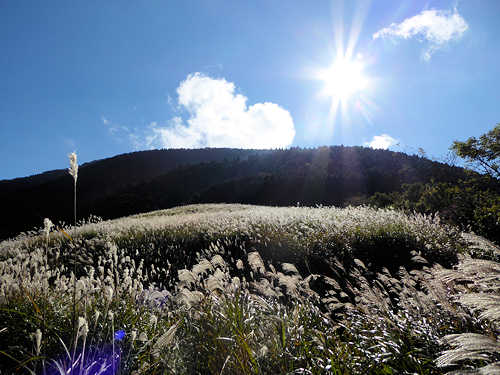 d0039443_1523451.jpg