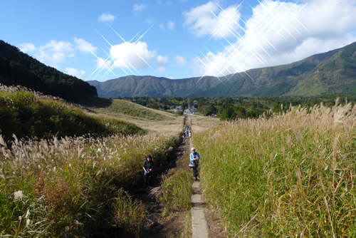 d0039443_15241040.jpg