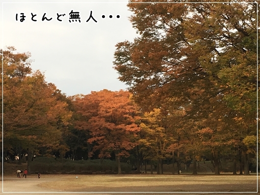 d0013149_00440180.jpg