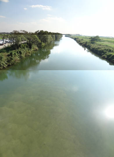 e0033751_15321283.jpg
