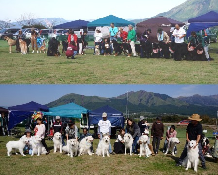 a0201257_15565943.jpg