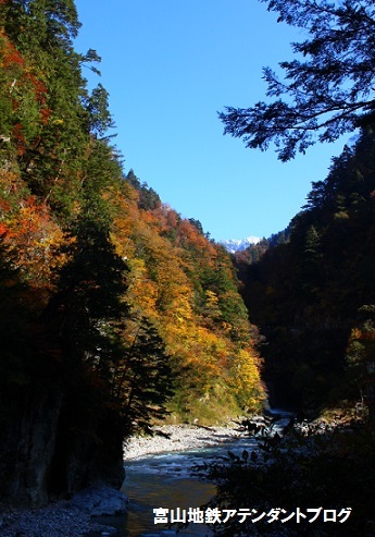 紅葉にうっとり♥秋のトロッコ電車_a0243562_09113048.jpg