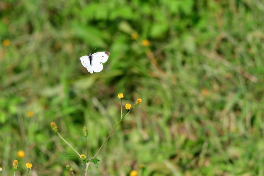 b0346568_23435010.jpg