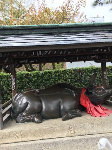 落ち込んだ…_f0363168_12080254.jpeg