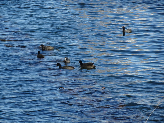 d0193569_11444571.jpg