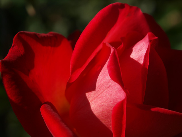 b0006870_21555675.jpg