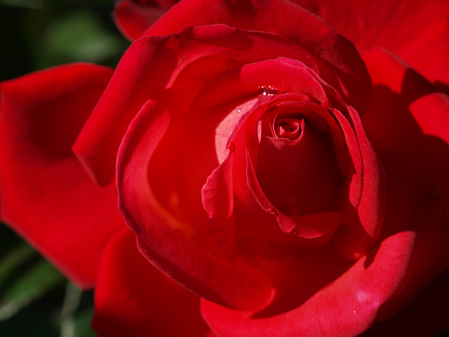 b0006870_21561375.jpg