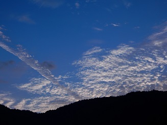 飛行機雲も育つ秋の空_e0175370_22271615.jpg