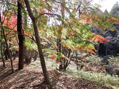 f0140773_1441375.gif