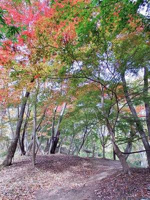 f0140773_14415141.gif