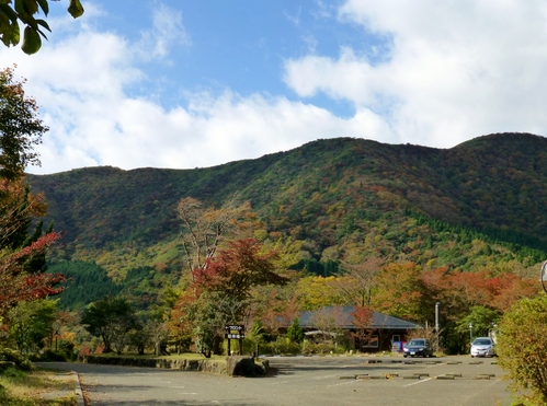 「箱根ワンコ旅」から帰ってきました_a0157174_2052544.jpg