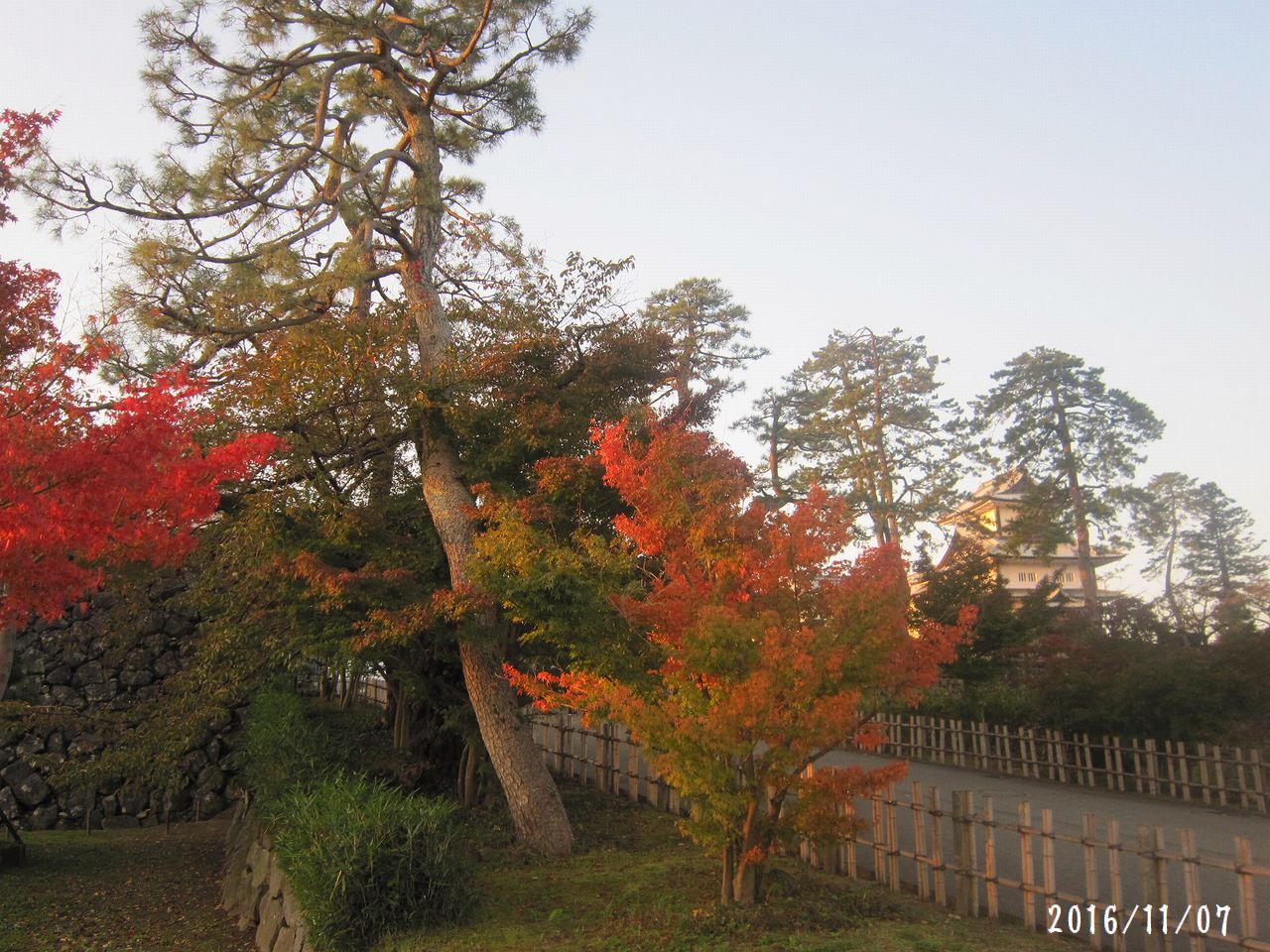 暦の上では冬♪　紅葉も一気に進んで☆_a0207574_10254988.jpg