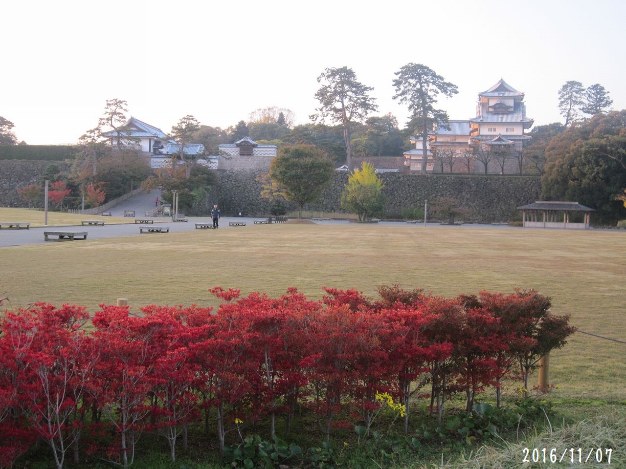 暦の上では冬♪　紅葉も一気に進んで☆_a0207574_1026114.jpg