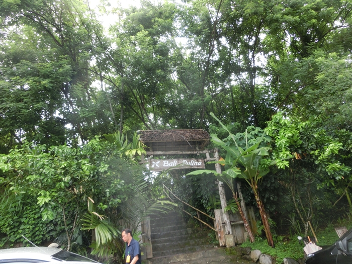 a0199979_16275292.jpg