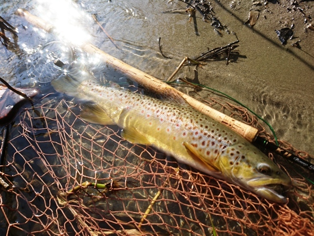 c0157482_10123998.jpg