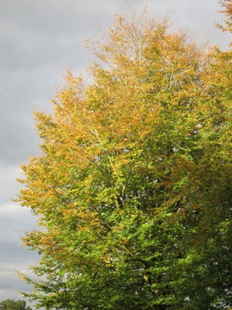 a0208783_003348.jpg