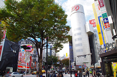 b0056983_12034250.jpg