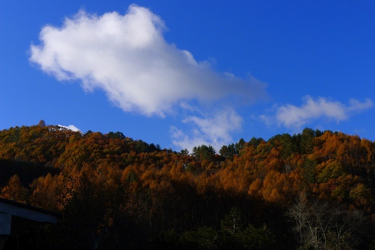a0130586_168107.jpg