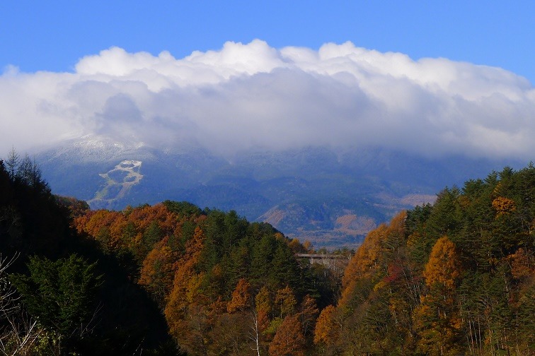 a0130586_9324219.jpg