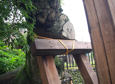 b0123486_15105937.jpg
