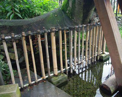 b0123486_15151712.jpg