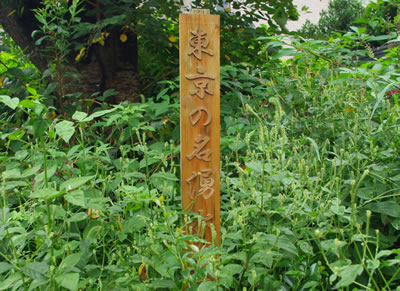b0123486_15181914.jpg