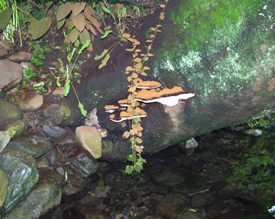 b0123486_15412816.jpg