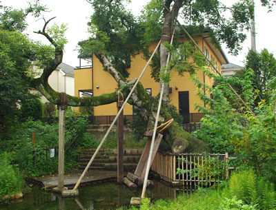 b0123486_1603265.jpg