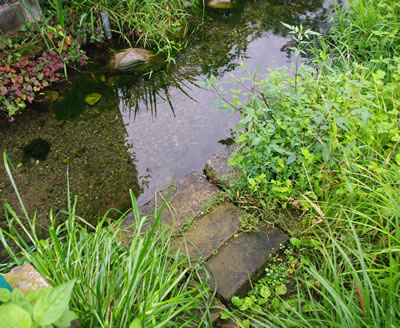 b0123486_162099.jpg