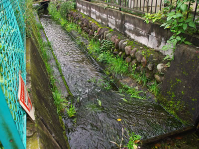 b0123486_16304961.jpg