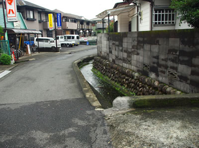 b0123486_16343493.jpg