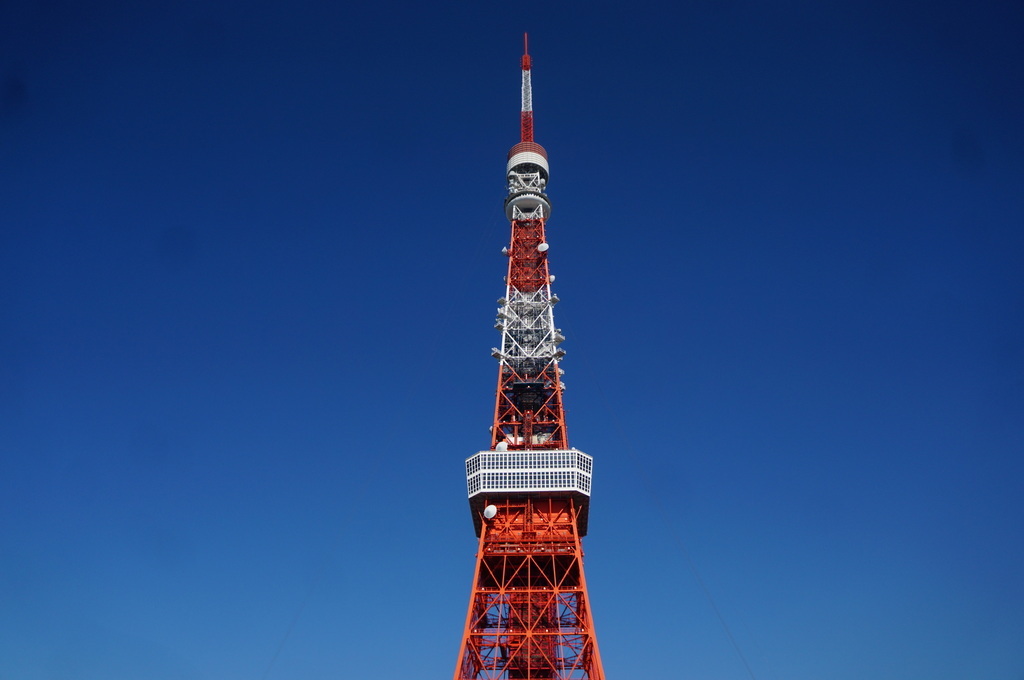 11月5日、麻布入り。_c0180686_08270363.jpg