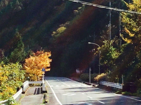 a0186689_17553441.jpg