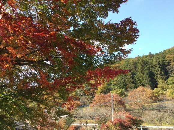 a0186689_17571244.jpg
