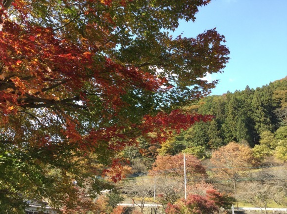 秋秩父へ再びツーリング（嵐山小川～小鹿野～群馬・神流）_a0186689_17571244.jpg