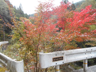 奥工石山(大豊町～本山町)_f0308898_2111320.jpg