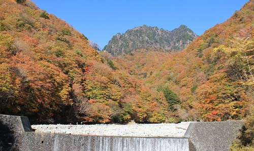 a0158702_16473589.jpg