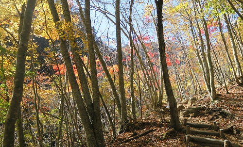 a0158702_16475144.jpg