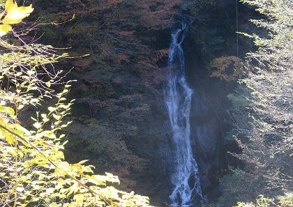 a0158702_1648452.jpg