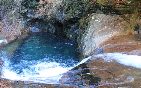 a0158702_16491872.jpg