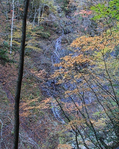 a0158702_16504820.jpg