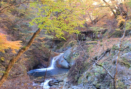 a0158702_16521179.jpg