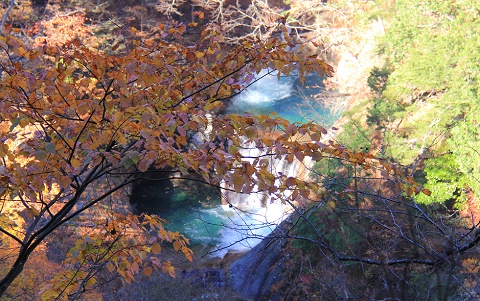 a0158702_16531757.jpg