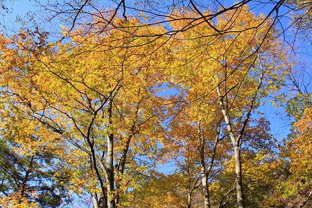 a0158702_16533237.jpg