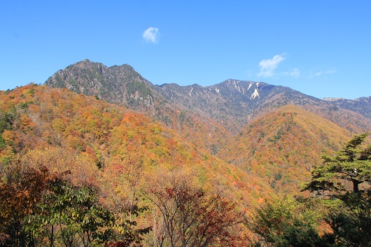 a0158702_16534938.jpg