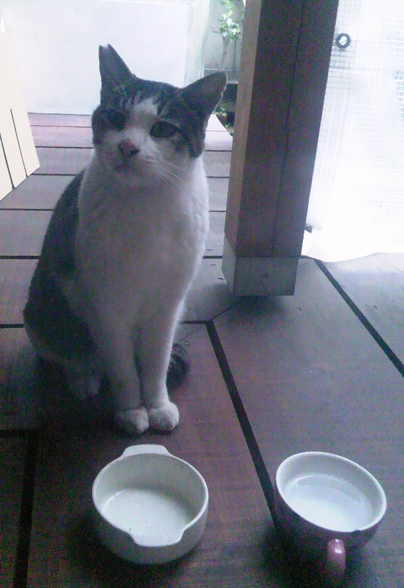 a0200902_17205995.jpg